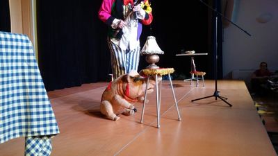Minicirkus – fotografie