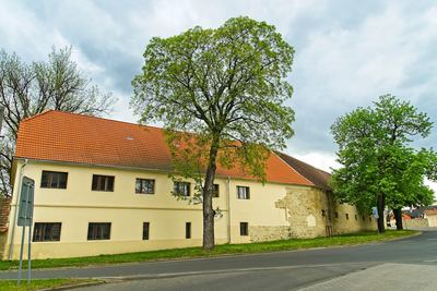 Jaro v Radonicích – fotografie