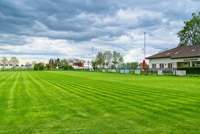 Jaro v Radonicích – fotografie