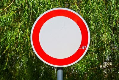Jaro v Radonicích – fotografie
