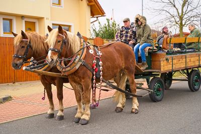 Radonický masopust – fotografie