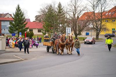 Radonický masopust – fotografie