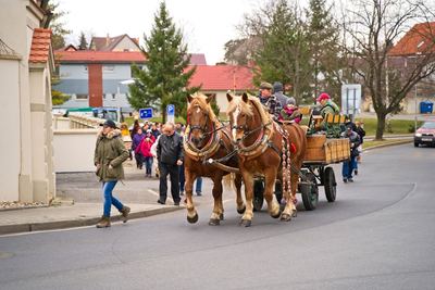 Radonický masopust – fotografie