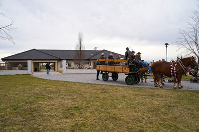 Radonický masopust – fotografie