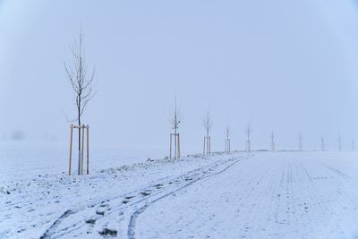 Zima v Radonicích – fotografie