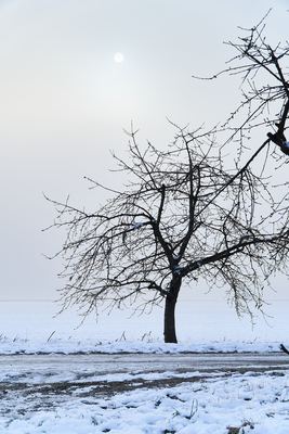 Zima v Radonicích – fotografie