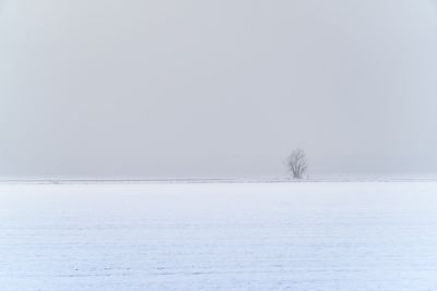 Zima v Radonicích – fotografie