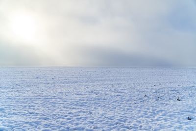 Zima v Radonicích – fotografie