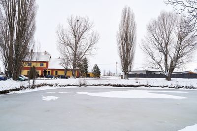 Zima v Radonicích – fotografie