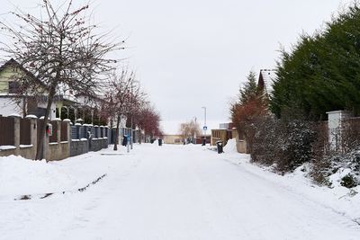Zima v Radonicích – fotografie