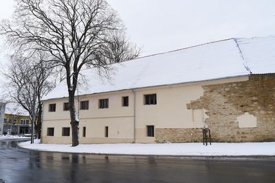 Zima v Radonicích – fotografie