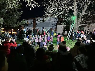 Rozsvěcení vánočního stromu – fotografie