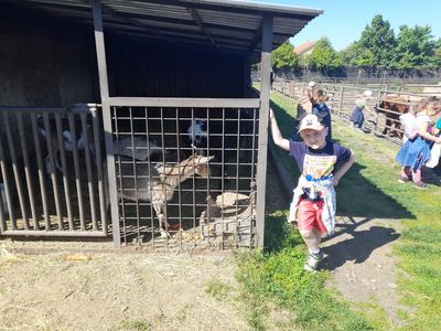 Škola v zookoutku Radonice – fotografie