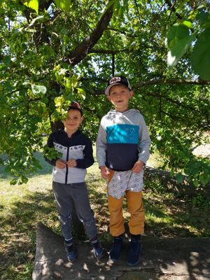 Škola v zookoutku Radonice – fotografie